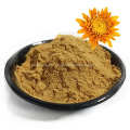 100% natural herbal chrysanthemum plant extract